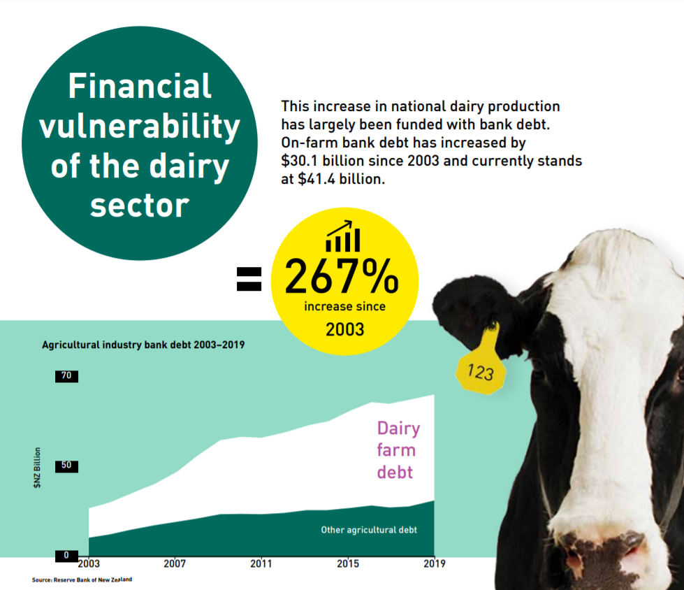 High dairy debt may curb ability to meet challenges ahead - MPI