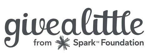 Givealittle's ownership switches to Perpetual Guardian from Spark Foundation