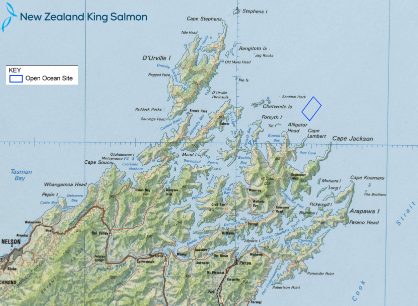 Huge offshore salmon farm faces early environmental headwinds