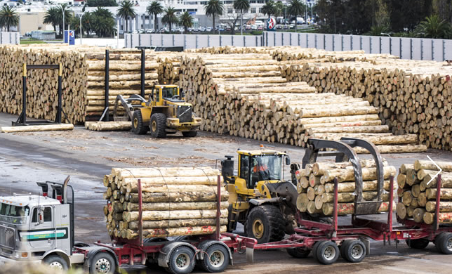 East Coast forestry gets $40m govt injection