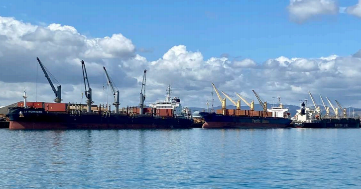 Port of Tauranga withdraws guidance on lost forestry trade