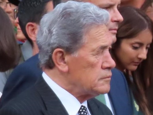 Winston Peters loses privacy case over 'single' pension